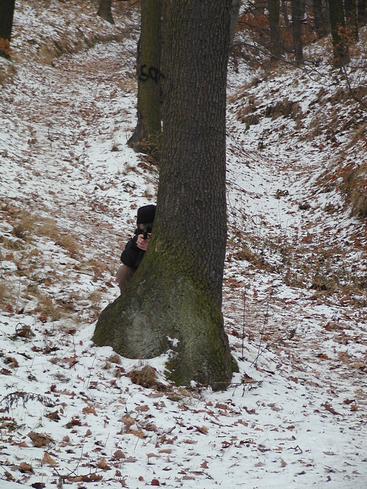 P1057941.JPG
